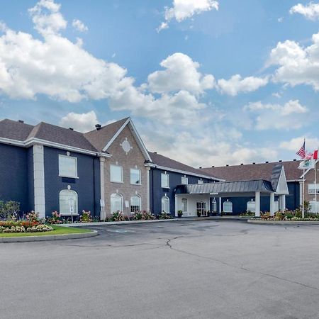 Quality Inn & Suites Oakville Værelse billede